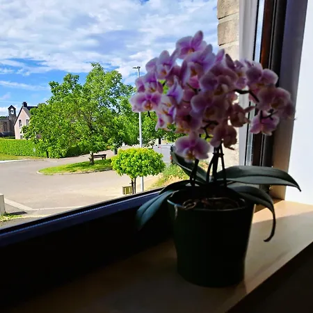 4 Pers Avec Balcon Et Jardin * Sprimont