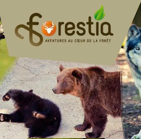 4 Pers Avec Balcon Et Jardin *