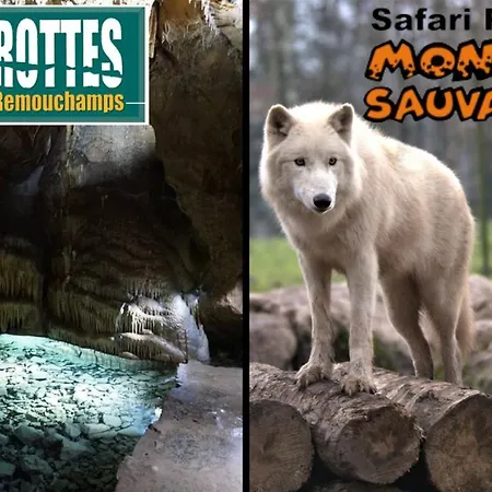 4 Pers Avec Balcon Et Jardin Apartmán Sprimont