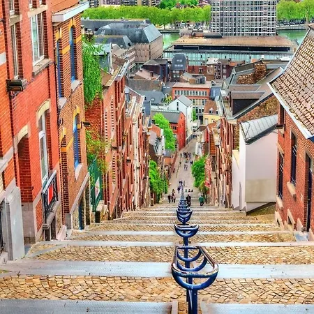 4 Pers Avec Balcon Et Jardin