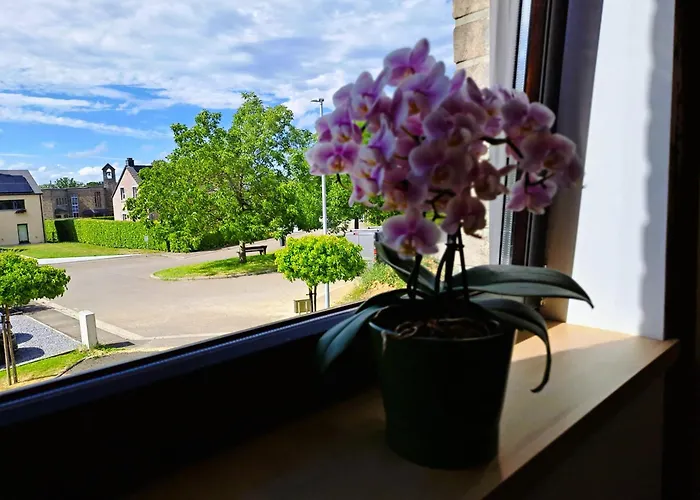 4 Pers Avec Balcon Et Jardin * 스프리몽