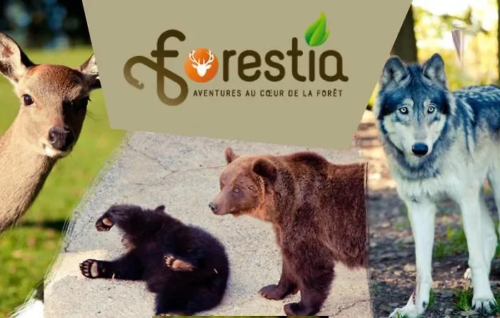 4 Pers Avec Balcon Et Jardin *